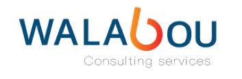 Walabou Consulting Services Logo
